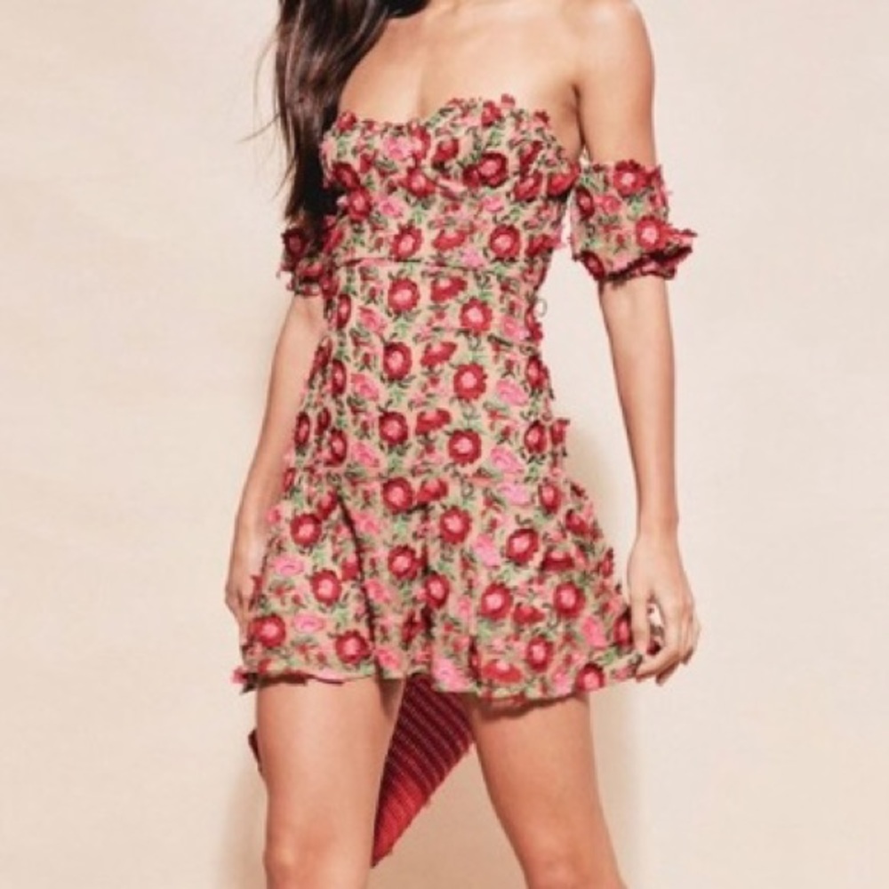 For Love and Lemons Mini Dress